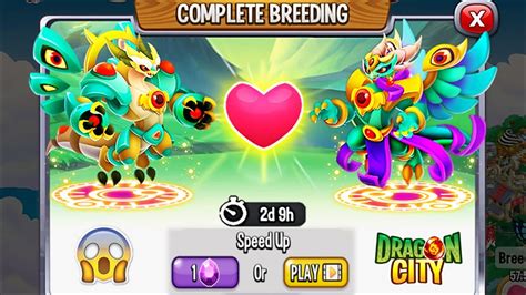 Dragon City: Dual Perception Dragon vs Dual Parliament Dragon .